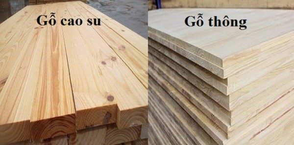 So sánh gỗ cao su và gỗ thông loại gỗ nào tốt hơn?